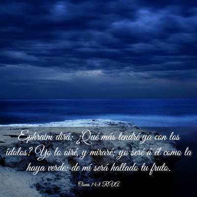 Picture 03 - Oseas 14:8 RVA - Ephraim dirá: ¿Qué más tendré ya con los - Bible Verse Picture