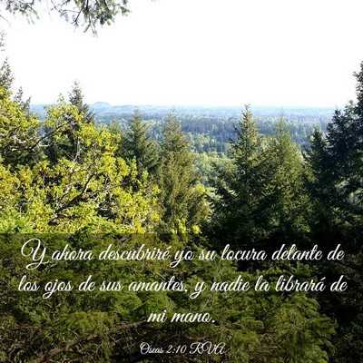Picture 03 - Oseas 2:10 RVA - Y ahora descubriré yo su locura delante de los - Bible Verse Picture