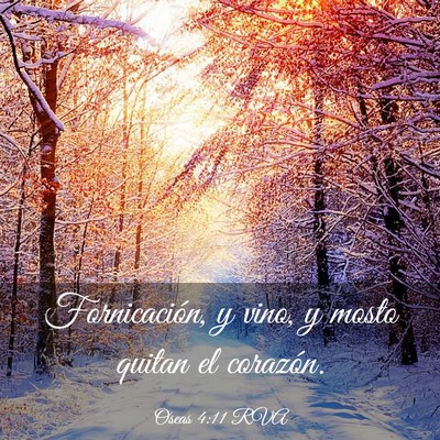 Picture 03 - Oseas 4:11 RVA - Fornicación, y vino, y mosto quitan el - Bible Verse Picture