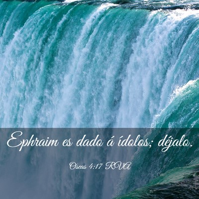 Picture 03 - Oseas 4:17 RVA - Ephraim es dado á ídolos; - Bible Verse Picture