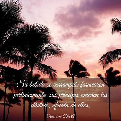 Picture 03 - Oseas 4:18 RVA - Su bebida se corrompió; fornicaron - Bible Verse Picture