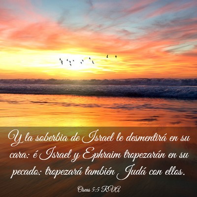 Picture 03 - Oseas 5:5 RVA - Y la soberbia de Israel le desmentirá en su - Bible Verse Picture