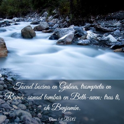 Picture 03 - Oseas 5:8 RVA - Tocad bocina en Gabaa, trompreta en Ramá: sonad - Bible Verse Picture
