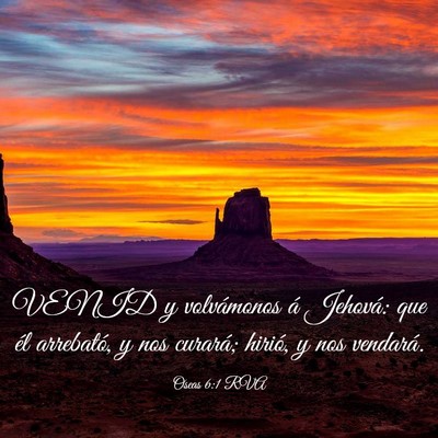 Picture 03 - Oseas 6:1 RVA - VENID y volvámonos á Jehová: que él - Bible Verse Picture