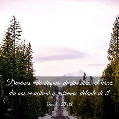Picture 03 - Oseas 6:2 RVA - Darános vida después de dos días: al tercer - Bible Verse Picture