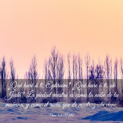 Picture 03 - Oseas 6:4 RVA - ¿Qué haré á ti, Ephraim? ¿Qué hare á ti, - Bible Verse Picture
