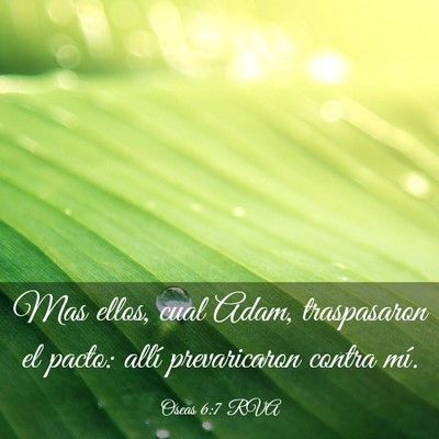 Picture 03 - Oseas 6:7 RVA - Mas ellos, cual Adam, traspasaron el pacto: allí - Bible Verse Picture