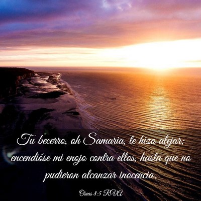 Picture 03 - Oseas 8:5 RVA - Tu becerro, oh Samaria, te hizo alejar; - Bible Verse Picture