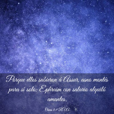 Picture 03 - Oseas 8:9 RVA - Porque ellos subieron á Assur, asno montés para - Bible Verse Picture
