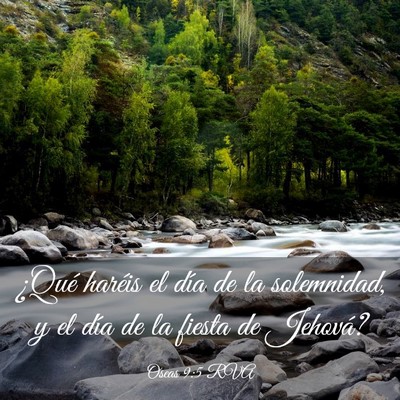 Picture 03 - Oseas 9:5 RVA - ¿Qué haréis el día de la solemnidad, y el - Bible Verse Picture