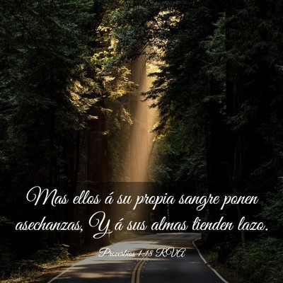 Picture 03 - Proverbios 1:18 RVA - Mas ellos á su propia sangre ponen asechanzas, Y - Bible Verse Picture