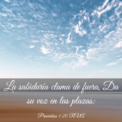 Picture 03 - Proverbios 1:20 RVA - La sabiduría clama de fuera, Da su voz en las - Bible Verse Picture