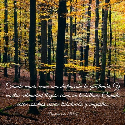 Picture 03 - Proverbios 1:27 RVA - Cuando viniere como una destrucción lo que - Bible Verse Picture