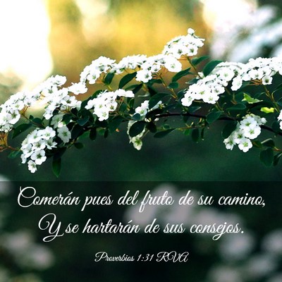 Picture 03 - Proverbios 1:31 RVA - Comerán pues del fruto de su camino, Y se - Bible Verse Picture