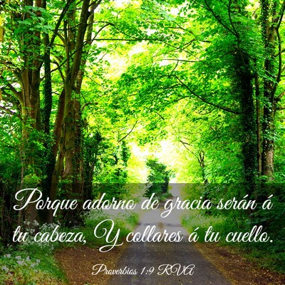 Picture 03 - Proverbios 1:9 RVA - Porque adorno de gracia serán á tu cabeza, Y - Bible Verse Picture