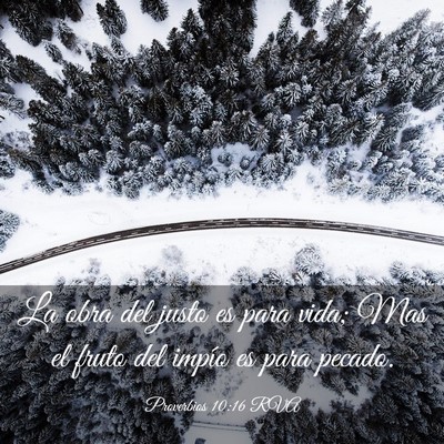Picture 03 - Proverbios 10:16 RVA - La obra del justo es para vida; Mas el fruto del - Bible Verse Picture