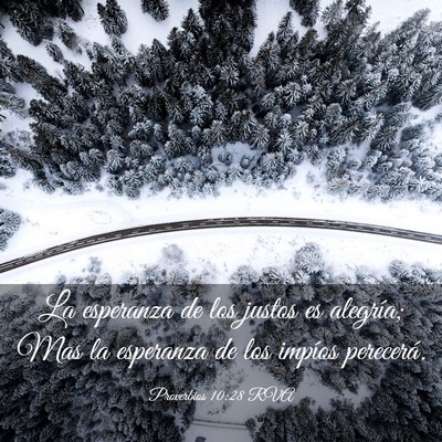 Picture 03 - Proverbios 10:28 RVA - La esperanza de los justos es alegría; Mas la - Bible Verse Picture