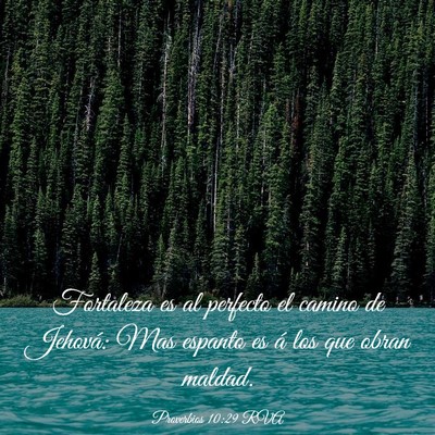 Picture 03 - Proverbios 10:29 RVA - Fortaleza es al perfecto el camino de Jehová: - Bible Verse Picture