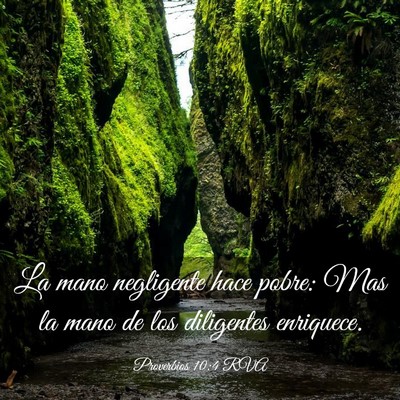 Picture 03 - Proverbios 10:4 RVA - La mano negligente hace pobre: Mas la mano de los - Bible Verse Picture