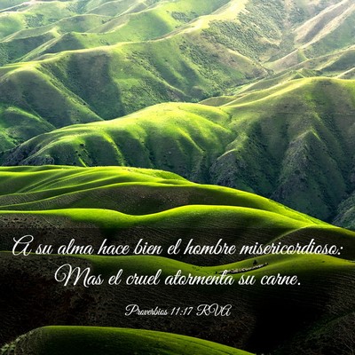 Picture 03 - Proverbios 11:17 RVA - A su alma hace bien el hombre misericordioso: Mas - Bible Verse Picture