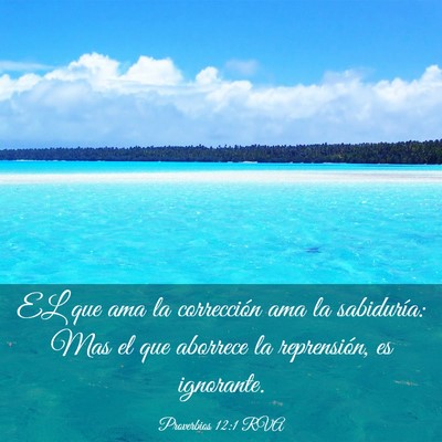 Picture 03 - Proverbios 12:1 RVA - EL que ama la corrección ama la sabiduría: Mas - Bible Verse Picture