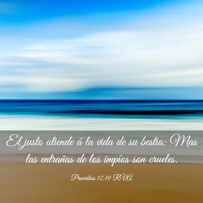 Picture 03 - Proverbios 12:10 RVA - El justo atiende á la vida de su bestia: Mas las - Bible Verse Picture