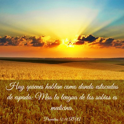 Picture 03 - Proverbios 12:18 RVA - Hay quienes hablan como dando estocadas de - Bible Verse Picture