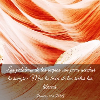 Picture 03 - Proverbios 12:6 RVA - Las palabras de los impíos son para acechar la - Bible Verse Picture