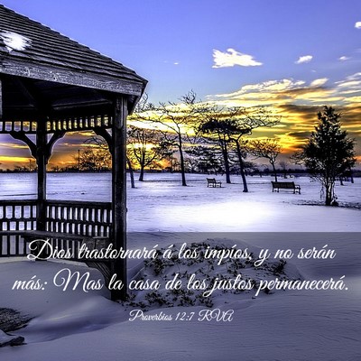 Picture 03 - Proverbios 12:7 RVA - Dios trastornará á los impíos, y no serán - Bible Verse Picture