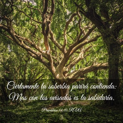 Picture 03 - Proverbios 13:10 RVA - Ciertamente la soberbia parirá contienda: Mas - Bible Verse Picture