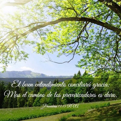 Picture 03 - Proverbios 13:15 RVA - El buen entendimiento conciliará gracia: Mas el - Bible Verse Picture