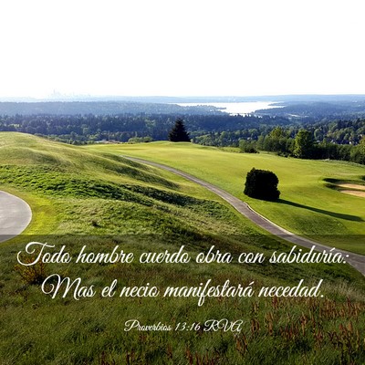 Picture 03 - Proverbios 13:16 RVA - Todo hombre cuerdo obra con sabiduría: Mas el - Bible Verse Picture