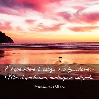 Picture 03 - Proverbios 13:24 RVA - El que detiene el castigo, á su hijo aborrece: - Bible Verse Picture