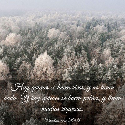 Picture 03 - Proverbios 13:7 RVA - Hay quienes se hacen ricos, y no tienen nada: Y - Bible Verse Picture