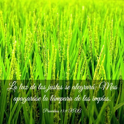 Picture 03 - Proverbios 13:9 RVA - La luz de los justos se alegrará: Mas apagaráse - Bible Verse Picture