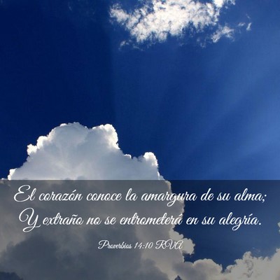 Picture 03 - Proverbios 14:10 RVA - El corazón conoce la amargura de su alma; Y - Bible Verse Picture