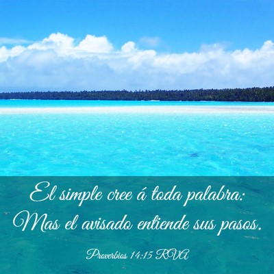 Picture 03 - Proverbios 14:15 RVA - El simple cree á toda palabra: Mas el avisado - Bible Verse Picture