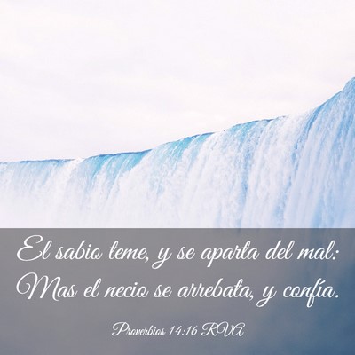 Picture 03 - Proverbios 14:16 RVA - El sabio teme, y se aparta del mal: Mas el necio - Bible Verse Picture