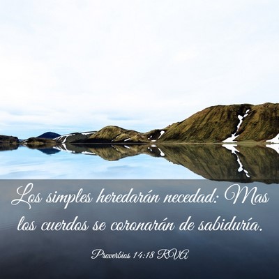 Picture 03 - Proverbios 14:18 RVA - Los simples heredarán necedad: Mas los cuerdos - Bible Verse Picture
