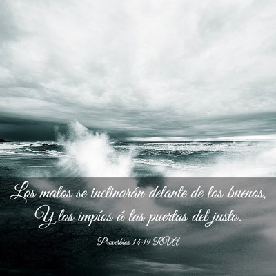 Picture 03 - Proverbios 14:19 RVA - Los malos se inclinarán delante de los buenos, Y - Bible Verse Picture