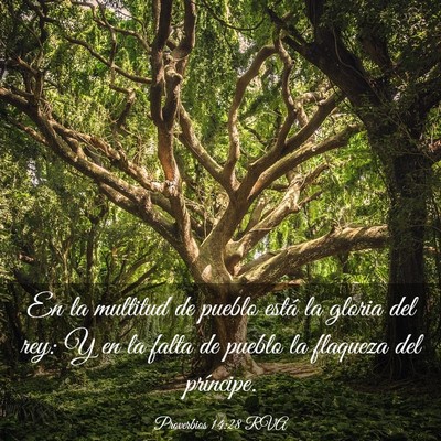 Picture 03 - Proverbios 14:28 RVA - En la multitud de pueblo está la gloria del rey: - Bible Verse Picture