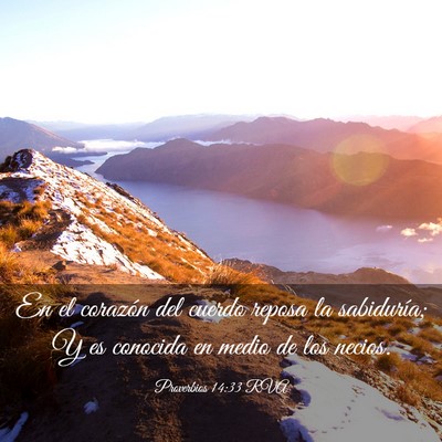 Picture 03 - Proverbios 14:33 RVA - En el corazón del cuerdo reposa la sabiduría; Y - Bible Verse Picture