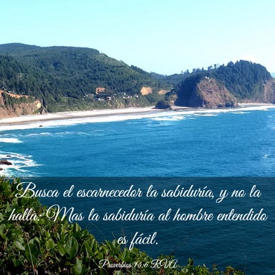 Picture 03 - Proverbios 14:6 RVA - Busca el escarnecedor la sabiduría, y no la - Bible Verse Picture