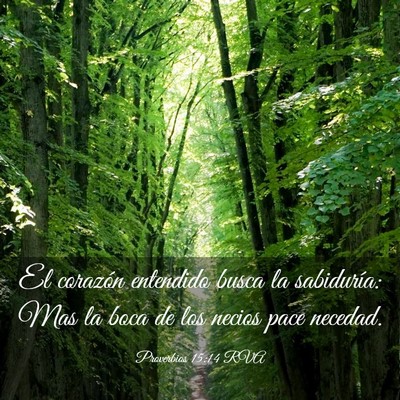 Picture 03 - Proverbios 15:14 RVA - El corazón entendido busca la sabiduría: Mas la - Bible Verse Picture