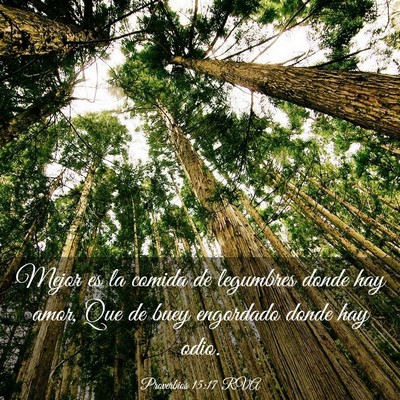Picture 03 - Proverbios 15:17 RVA - Mejor es la comida de legumbres donde hay amor, - Bible Verse Picture