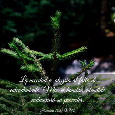 Picture 03 - Proverbios 15:21 RVA - La necedad es alegría al falto de entendimiento: - Bible Verse Picture