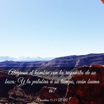 Picture 03 - Proverbios 15:23 RVA - Alégrase el hombre con la respuesta de su boca: - Bible Verse Picture