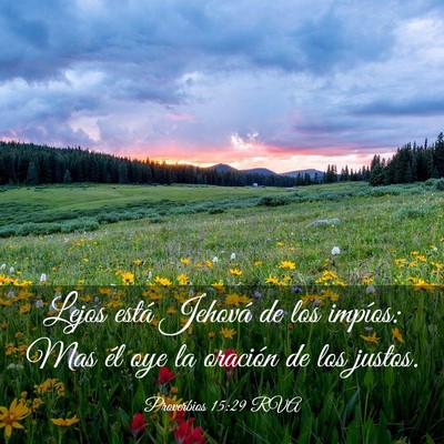 Picture 03 - Proverbios 15:29 RVA - Lejos está Jehová de los impíos: Mas él oye - Bible Verse Picture
