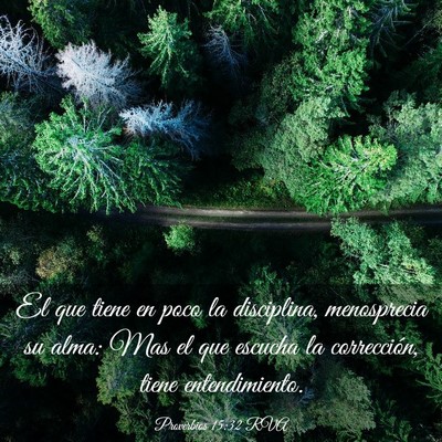 Picture 03 - Proverbios 15:32 RVA - El que tiene en poco la disciplina, menosprecia - Bible Verse Picture