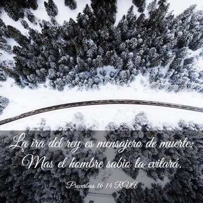 Picture 03 - Proverbios 16:14 RVA - La ira del rey es mensajero de muerte: Mas el - Bible Verse Picture